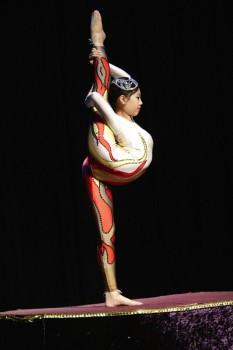 Contortion1 233x350 - Acrobatic Shows