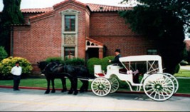 carriage 267x157 custom - Carriages, Stagecoaches &amp; Variety of Cart Rides