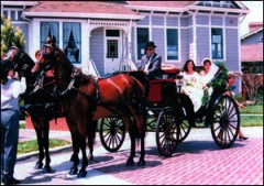 carriages 240x169 custom - Carriages, Stagecoaches &amp; Variety of Cart Rides